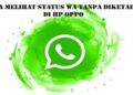 Cara Melihat Status WA Tanpa Diketahui di HP OPPO 11 Cara Membuat Katalog di WA Android, iPhone dan WA Web