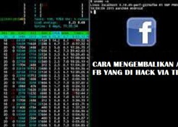 Cara Menyadap WA Tanpa Aplikasi Apapun