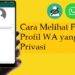 Cara Login SDGs Desa dan Solusi Jika Gagal Login