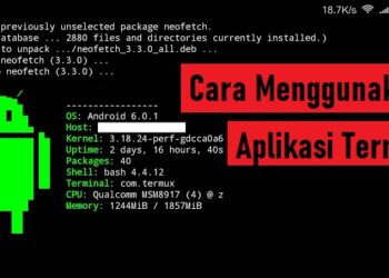 Script Spam SMS Termux Work