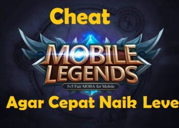 5 Cheat ML Agar Cepat Naik Level 8 Sayapro.us