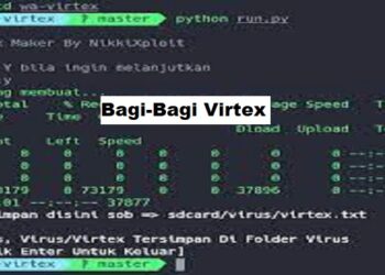 0881 Kartu Apa dan Daerah Mana? Simak Ulasannya Disini