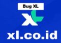 Bug XL 2025 6 Script Spam SMS Termux Work