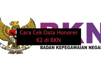 Jadwal FYP Snack Video Hari Ini