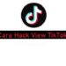 Cara Hack View TikTok dengan Google Browser 7 Cara Mengatasi Top Up Level Up Pass FF Gagal