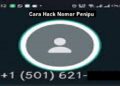 Cara Hack HP Dengan Kali Linux