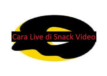 Cara Live di Snack Video 8 Cara Membuat Katalog di WA Android, iPhone dan WA Web