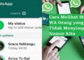 Cara Menyadap WA Tanpa Aplikasi Apapun
