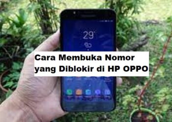 2 Apk Ambil Akun FF Sultan Paling Ampuh