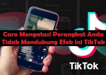 Cara Mengatasi Top Up Level Up Pass FF Gagal