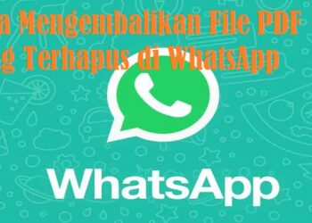4 Cara Mengembalikan File PDF yang Terhapus di WhatsApp 8 Cara Hack WhatsApp Dengan Whozzak