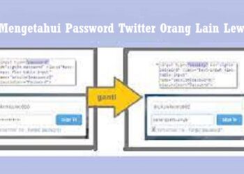 Cara Cari Jodoh Via Whatsapp