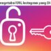 4 Cara Mengetahui Siapa yang Hack Instagram