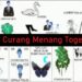 Trik Curang Menang Togel 2D 7 Cara Beli Chip Pakai Pulsa