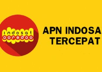 APN Indosat 5G 2025 8 Cara Hack Komputer Orang Lain Lewat Internet