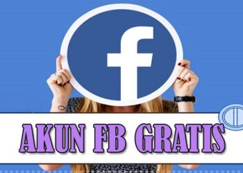 Download GB WhatsApp Pro V 19.50 Gratis