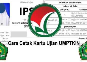 Cara Sadap WhatsApp Lewat IMEI