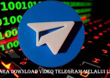 Download GB WhatsApp Pro V 19.50 Gratis