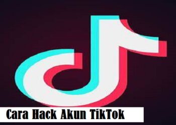 Cara Hack Akun TikTok 8 Download GB WhatsApp Pro V 19.50 Gratis