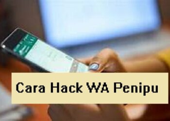 Download Virtex Slayer