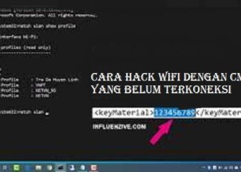 Download GB WhatsApp Pro V 19.50 Gratis