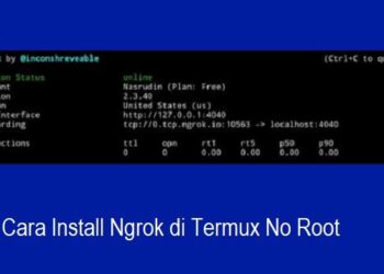 Cara Install Ngrok di Termux No Root 8 Download P King Hack Akun FF Gratis