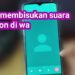 Cara Membisukan Telepon WA 7 Download Cheat Suntik Fix High Damage