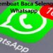 Cara Melihat Pesan WA yang Sudah Dihapus Oleh Pengirim Tanpa Aplikasi