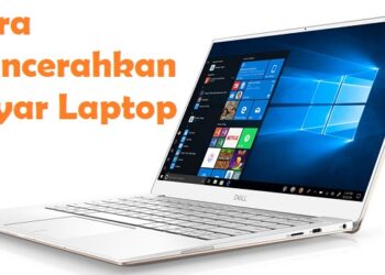 Download Script FF Cheat VIP Free Fire