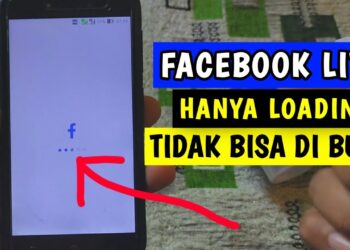 Download P King Hack Akun FF Gratis