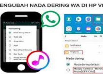 Download Virtex Slayer