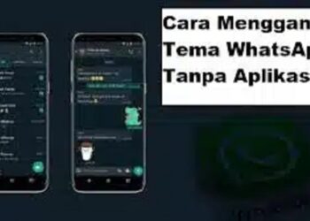 3 Cara Mengganti Tema WhatsApp Tanpa Aplikasi (Untuk Pemula) 8 2 Cara Melihat Story WA yang di Privasi dari Kita (Wajib Dicoba)