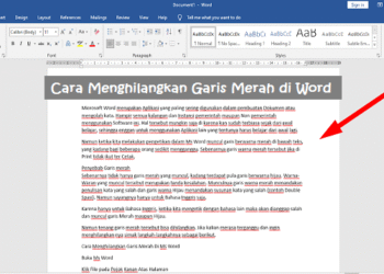 Cara Video Call Sambil Mengetik di WhatsApp