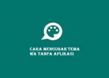 Download Script FF Cheat VIP Free Fire (Update 2026)