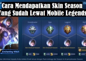 Download GB WhatsApp Pro V 19.50 Gratis