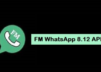 Download P King Hack Akun FF Gratis