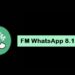 Download FM WhatsApp 19.30 APK Gratis 7 Download P King Hack Akun FF Gratis