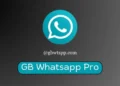 Download GB WhatsApp Pro V 19.50 Gratis