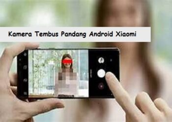 Download P King Hack Akun FF Gratis