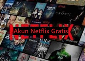 Download GB WhatsApp Pro V 19.50 Gratis