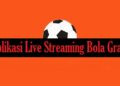 12 Aplikasi Live Streaming Bola Gratis Beserta Link Downloadnya 9 Rumus Dadu Ludo King