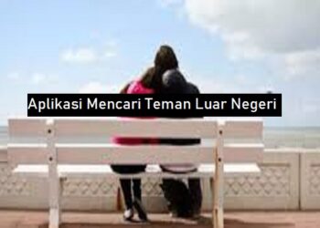 Download GB WhatsApp Pro V 19.50 Gratis