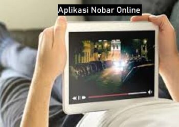 Download GB WhatsApp Pro V 19.50 Gratis