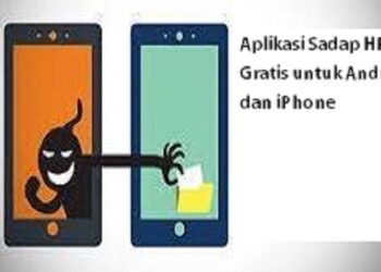 Download P King Hack Akun FF Gratis