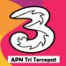 APN Tri Tercepat 2025 7 Cara Pinjam Saldo DANA Tanpa KTP