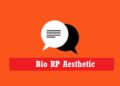 30 Bio RP Aesthetic Keren Bahasa Inggris dan Artinya 9 30 Bio RP Aesthetic Keren Bahasa Inggris dan Artinya