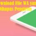 Cara Download File WA yang Sudah Dihapus Pengirim 7 Cara Video Call Sambil Mengetik di WhatsApp