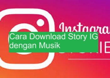 Cara Download Story IG dengan Musik 8 Download GB WhatsApp Pro V 19.50 Gratis