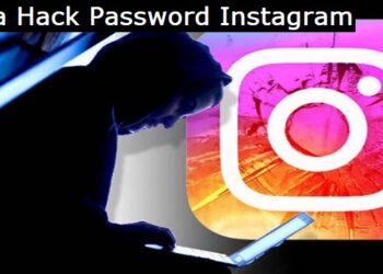 Cara Hack WA dengan Pointszone net