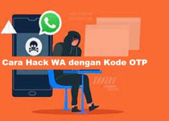 Download P King Hack Akun FF Gratis